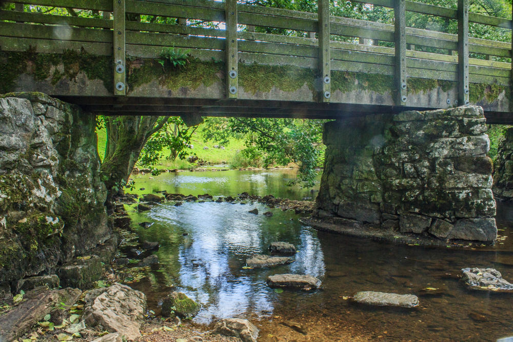 River Dove